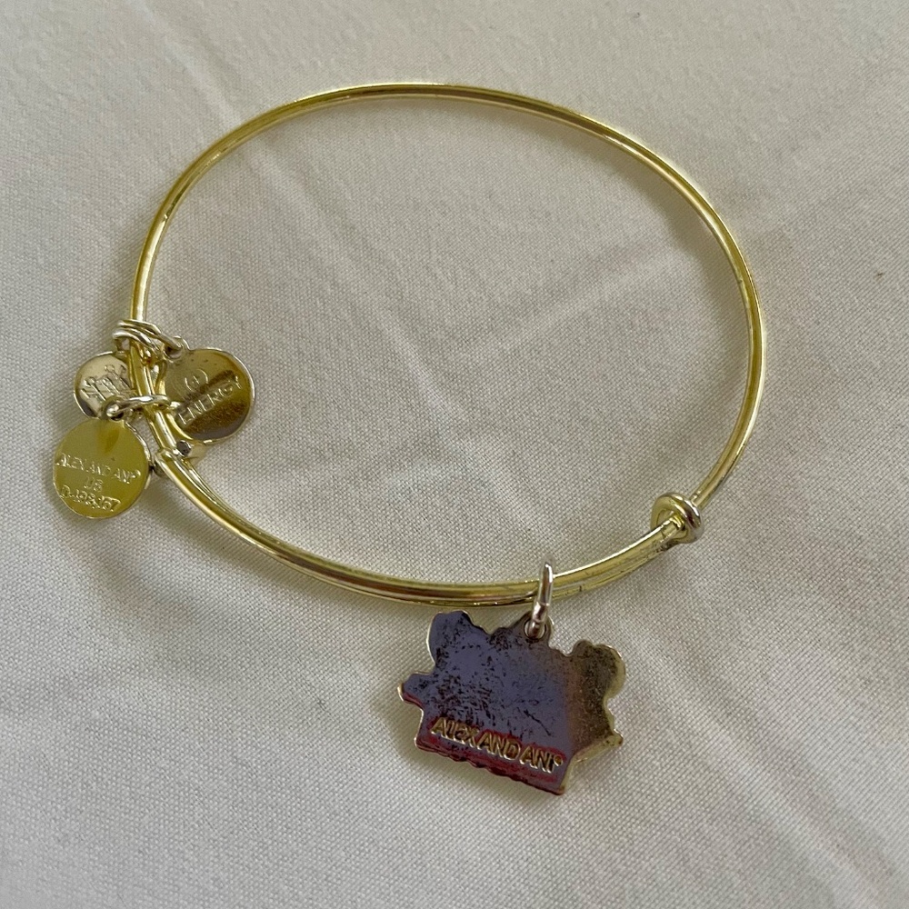 Alex and Ani “Ghouls Just Wanna Have Fun” Bangle – Pre-owned Condition - Picture 4 of 4
